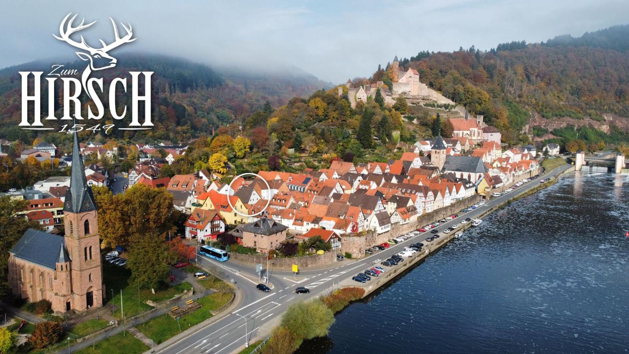 Appartement Schlossberg, Gasthaus Hirsch Hirschhorn Luaran gambar